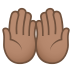 🤲🏽 palms up together: medium skin tone display on JoyPixels